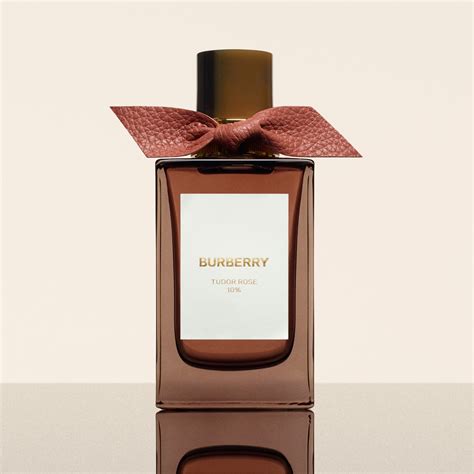 burberry fruity amber|amber heath Burberry signatures.